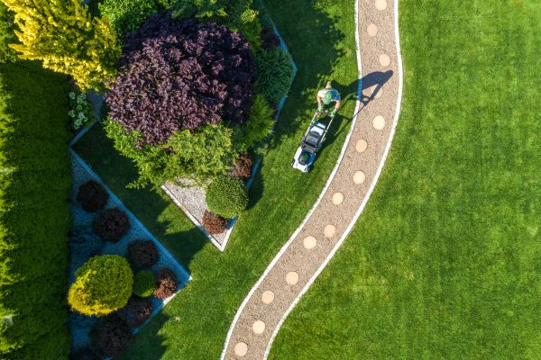 Large Beautiful Residential Backyard Garden Grass Mowing Aerial View. Caucasian Gardener Pushing Electric Cordless Grass Mower and Trimming the Lawn.